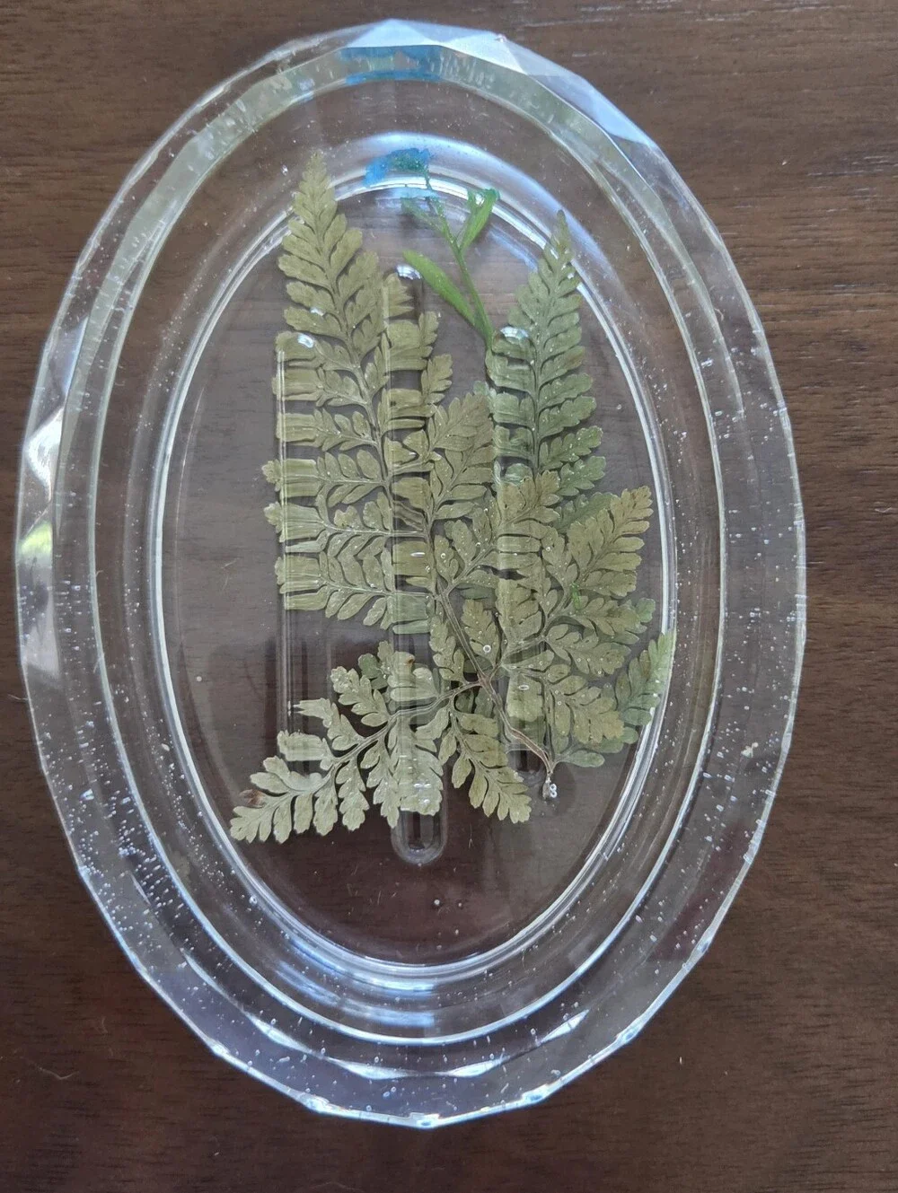 Oval Nature Themed  Soap Dish - Clear  with Green Leaves/Blue Flower